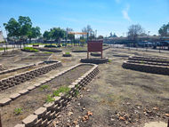 Economic Development Takes Root in Visalia’s Newest Community Garden