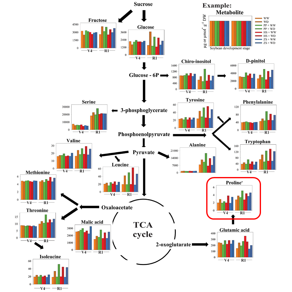 https://onlinelibrary.wiley.com/doi/full/10.1111/ppl.13034?casa_token=KOxUPAZctIsAAAAA%3A97--G0XZnclgIm_AjT6D9kbns31i0sWUB6XCEKWm3AV8FOAl0nirlnBWCGnQi8hyMzasxtkHxp38GC-C#ppl13034-fig-0001