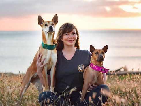A young woman with long brown hair holds two Phu Quoc Ridgebacks in her lap during a sunset