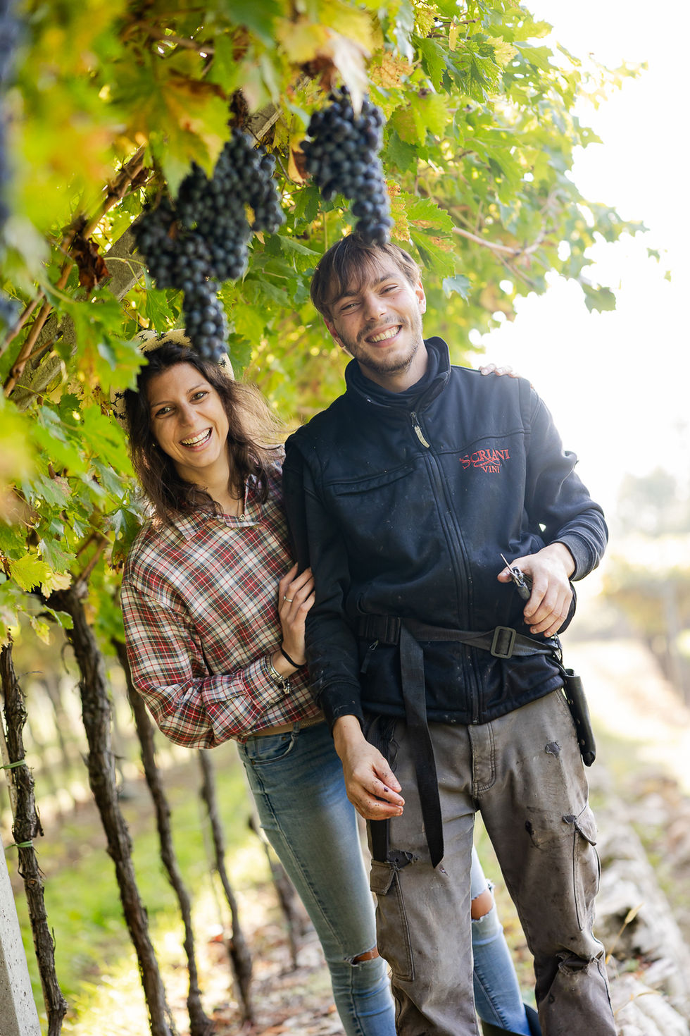 Produzione di contenuti fotografici per Cantina Scriani tra vigneti e cantina, dedicata alla valorizzazione del brand, del te