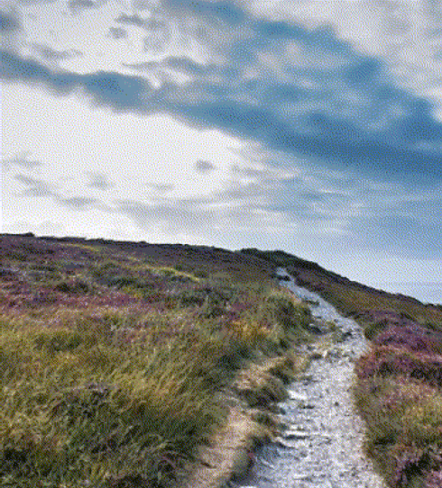 caminho_animation.gif