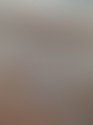 Finding Your Perfect Toy