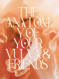 The Anatomy Of Your Vulva & Friends
