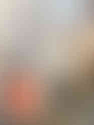 265870B0-68BB-4402-B4E3-03EFB88A3DC1_1_105_c