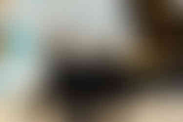 8E840CC1-05A7-4F1B-A2BD-E3974D029A86_1_102_o