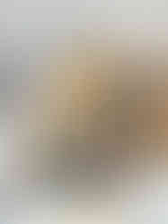 5DF17750-E45B-41B9-BAD6-6D470D68D9AD_1_105_c
