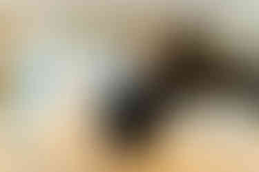 0BF9C3C2-85E7-46E4-B08C-723423EF942D_1_105_c