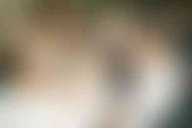67BFA3D7-EE78-4D81-96E9-034A9163B83D_1_102_o