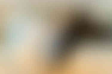 166B7131-2052-43C9-BC02-D88F70F5CD69_1_105_c