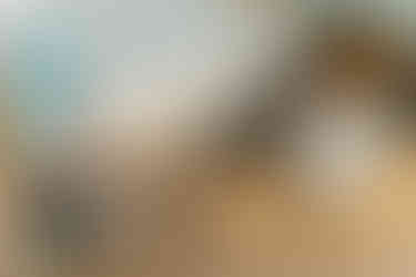 26C3CA87-DAE9-4529-BFDA-7F7F0A2777D2_1_105_c
