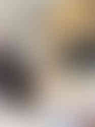 928B858D-DF9F-458E-837F-3A87DDA079CF_1_105_c
