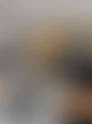90EE8804-4A09-479A-9335-F24EC05D6D7B_1_105_c