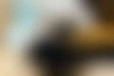 6AFE7104-89D0-40E5-8B3C-FE04121AA35F_1_102_o