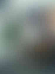 45DA4A8C-5F58-44DA-BE12-AB2549EB9700_1_105_c