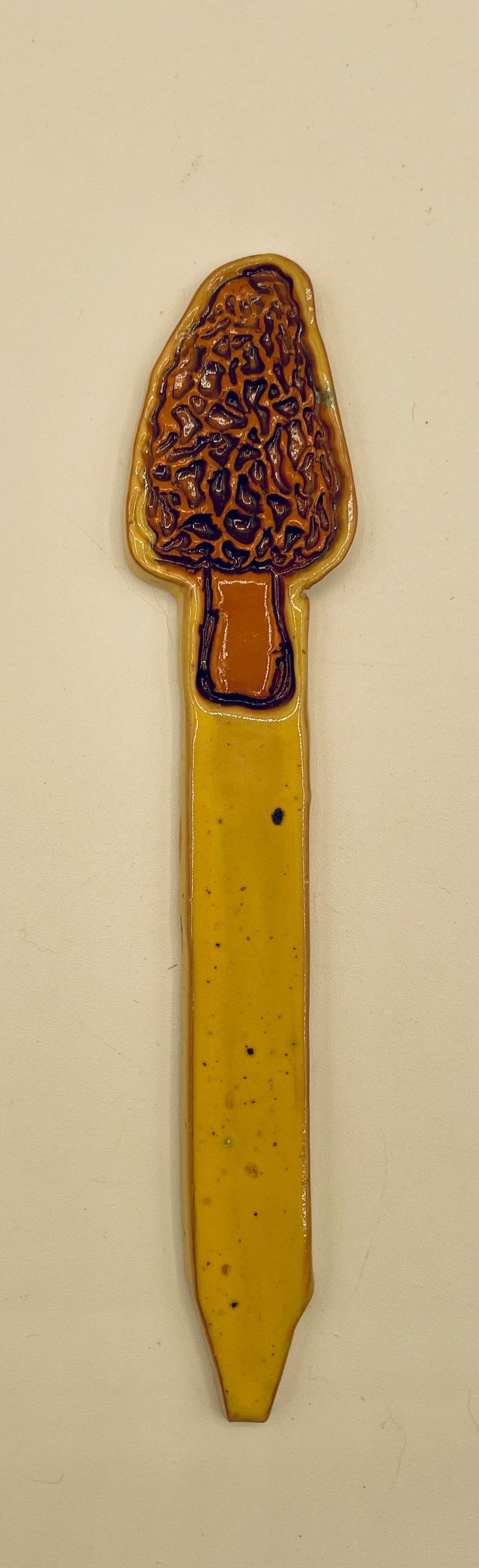 Morel Mushroom plant spike