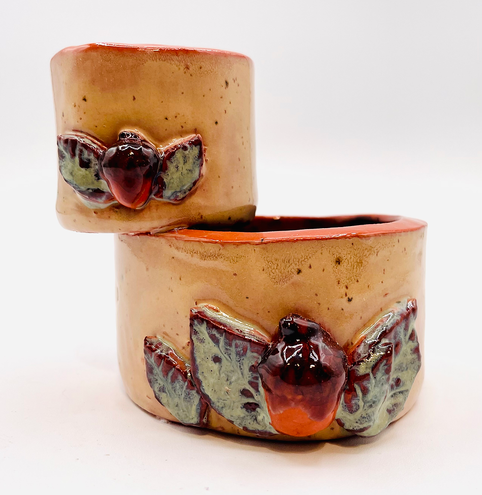 Thumbnail: Air plant double planter-acorn texture