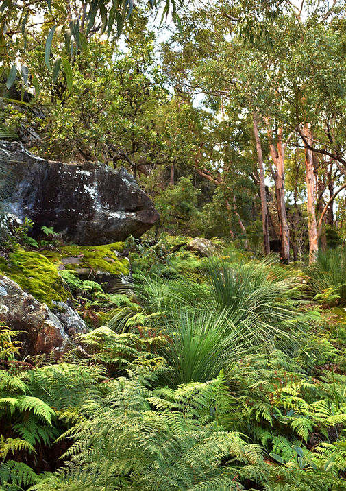 National park_edited.jpg