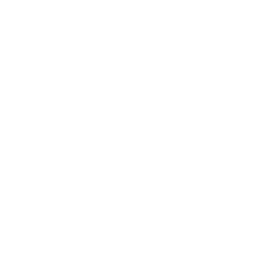 wave moon logo