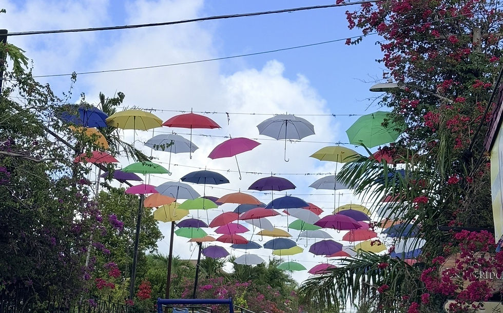Nassau street.jpg
