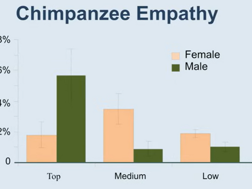 Empathie als Führungsaufgabe