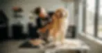 Dog Grooming