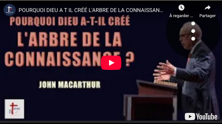 POURQUOI DIEU A-TIL CRÉÉ L'ARBRE DE LA CONNAISSANCE DU BIEN ET DU MAL ?