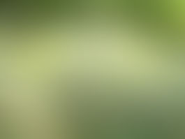 LA VISITATION DE L'ESPRIT !