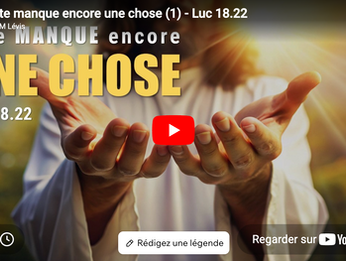 IL TE MANQUE ENCORE UNE CHOSE (1)