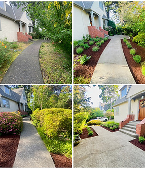 Before and after garden and outdoor property care