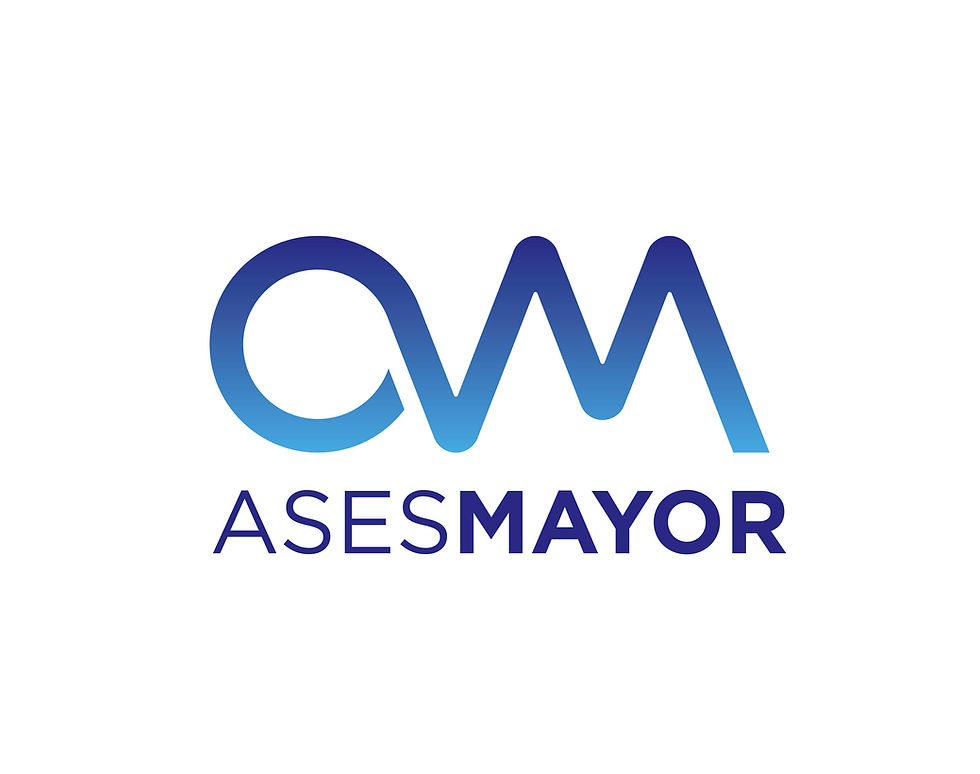 Logo ASESMAYOR