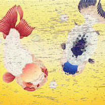 蘭壽-富麗双方
Ranchu─
Double Rich