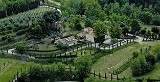 Splendida vista panoramica dei vigneti della Fattoria Uccelliera sulle colline toscane