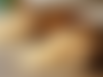 Innovative Approaches to Eco-Friendly Packaging Solutions