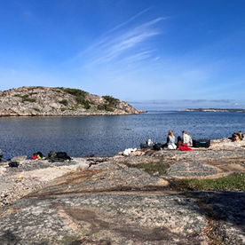 Migrant Oysters on the West Coast of Sweden