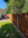 IMG_3976.jpeg