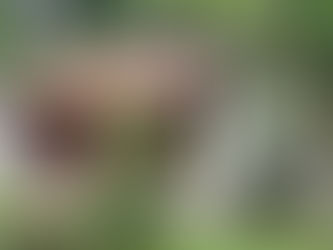 Chambers at Large in The Temple of Literature and on Train Street, Hanoi, Vietnam