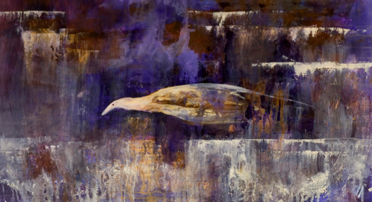 Soar