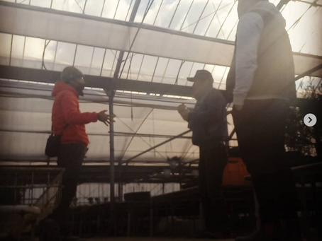 コピー： 植物っていいもんですよね