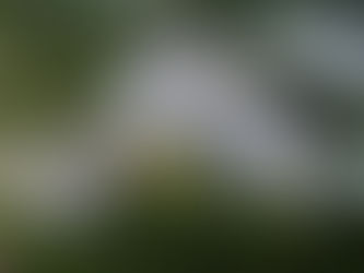 ABB referente en sostenibilidad, alcanzando las cero emisiones operativas en la fábrica de Niessen en Oiartzun