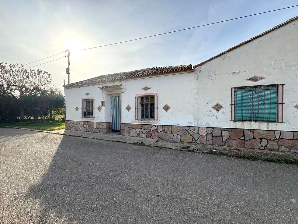 WhatsApp Image 2025-12-01 at 10.58.51 (3).jpeg