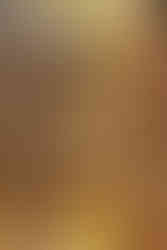 a couple holding hands in a winery in Waipara, New Zealand