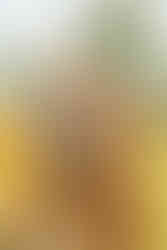 a couple holding each other in a winery in Waipara, New Zealand