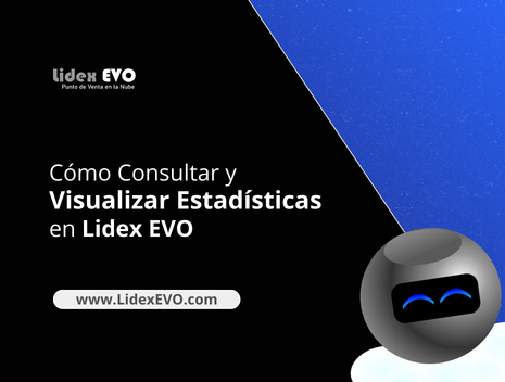 ¿Cómo Consultar y Visualizar Estadísticas en Lidex EVO?