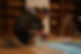 89E835D0-F457-45E2-A11D-2C2C9D0CCCC6.jpeg