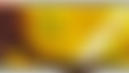 Who is Ahmed the Elephant and why is he being celebrated with a Google Doodle? 