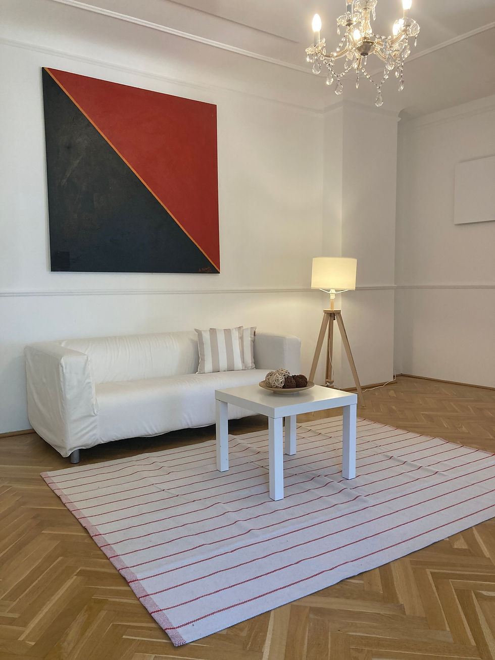 Wohnzimmer Ap53m2.JPG