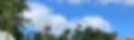 3904B7AA-2B41-4967-8FCC-582298057103_edited.jpg
