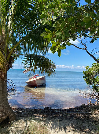 Beach front lot for sale, Caye Caulker, Real Estate on Eden Isle, Belize.jpg