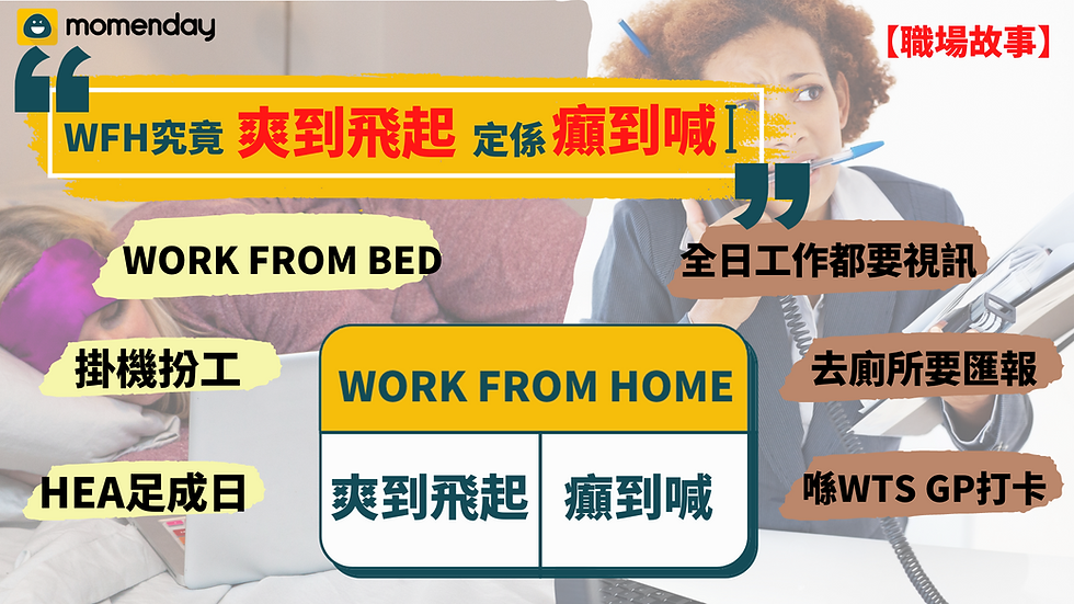 WFT究竟爽到飛起定癲到喊,work from bed, 掛機扮工
