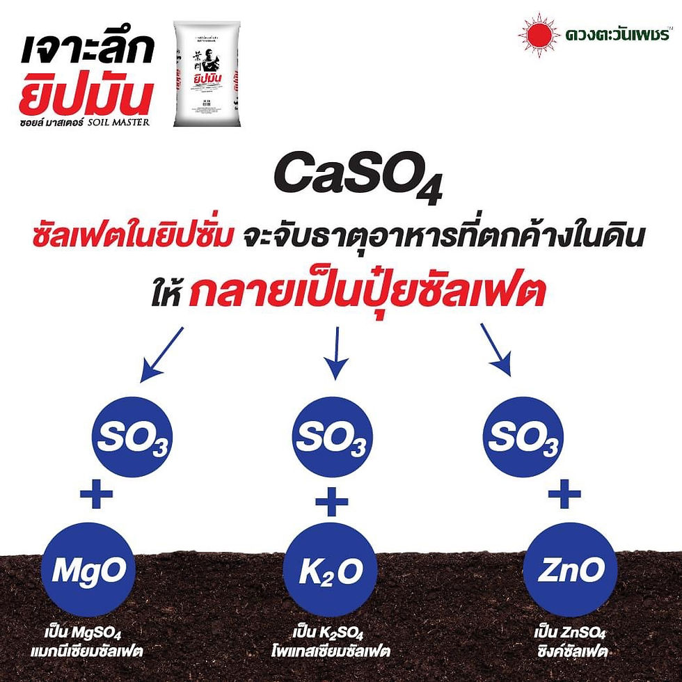ภาพขนาดย่อ: DTW YIP-MAN Soil Amendments: Humic, Calcium, Magnesium, sulfur